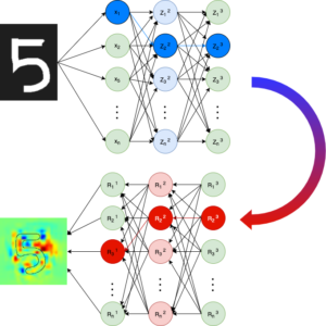 Read more about the article Layer-Wise Relevance Propagation – NN Explainability in-depth with 5 main rules